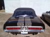 Rear View Shelby Mustang