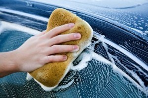 Protect the paint of your Scottsdale Car